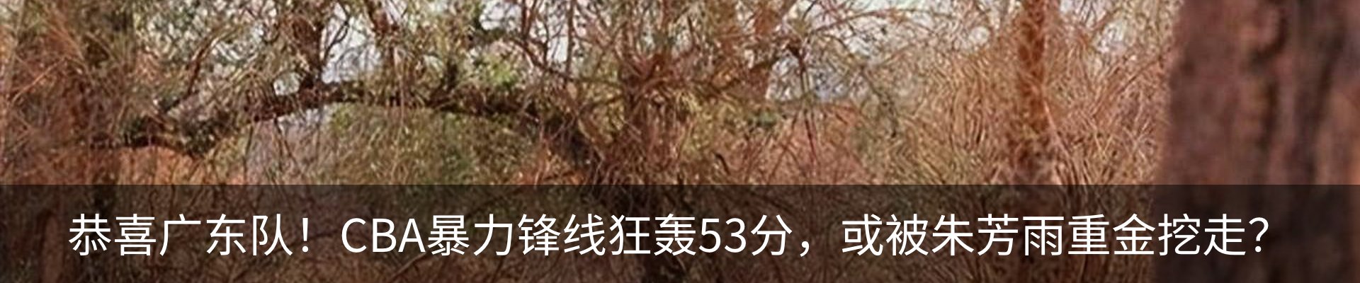 行业资讯